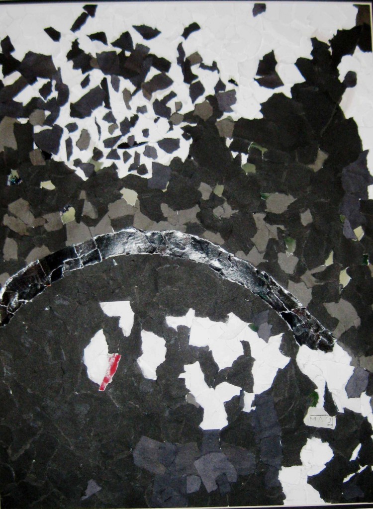 Irene_Debris_collage